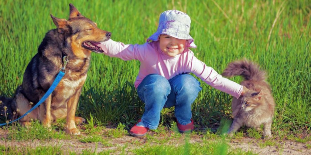 Nurturing a Lifelong Bond: Selecting the Perfect Pet for Your Child’s Growth